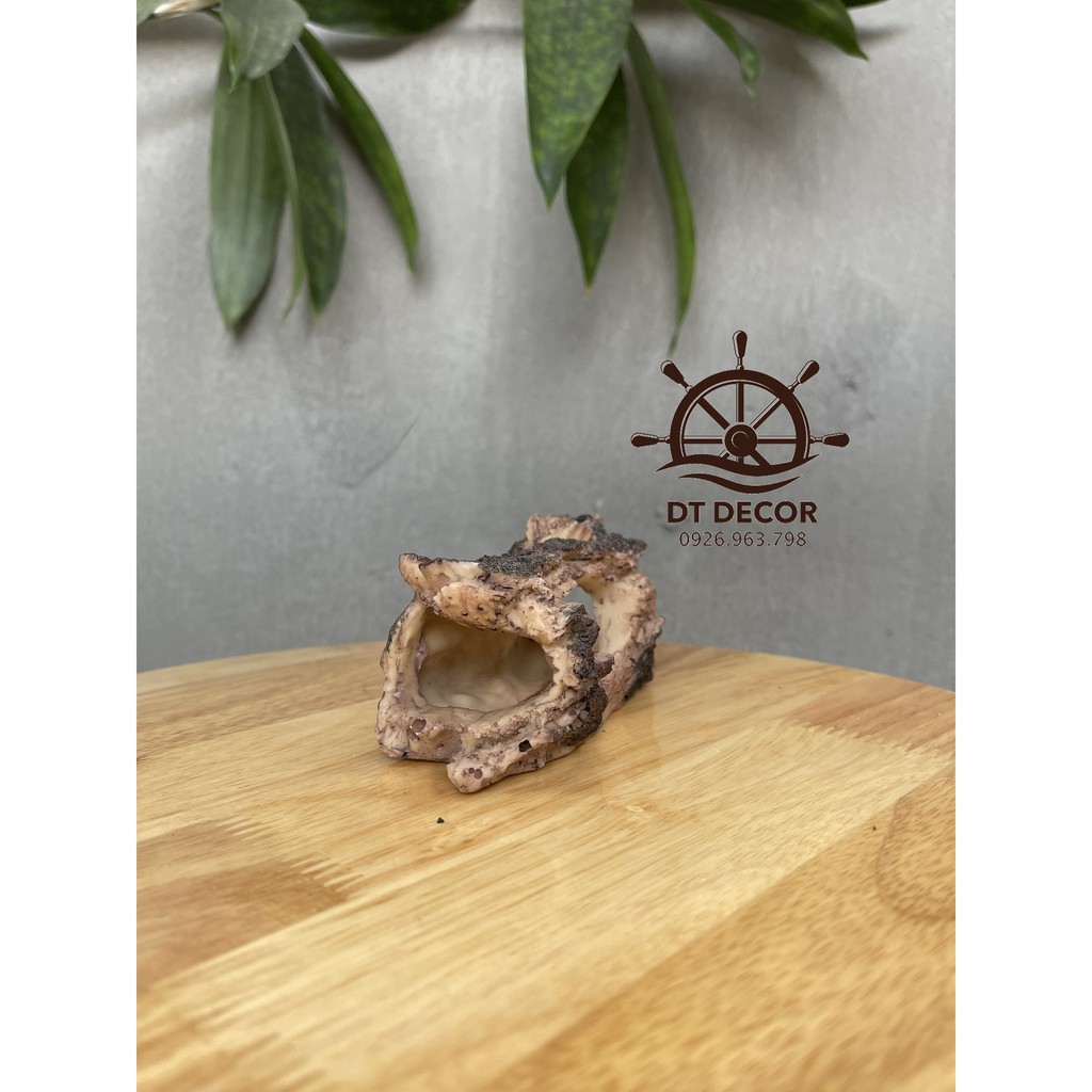 Khúc gỗ mục chơi tép