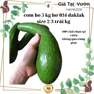 Bơ 034 đalak-combo 5 kg size 2-3 trái 1 kg