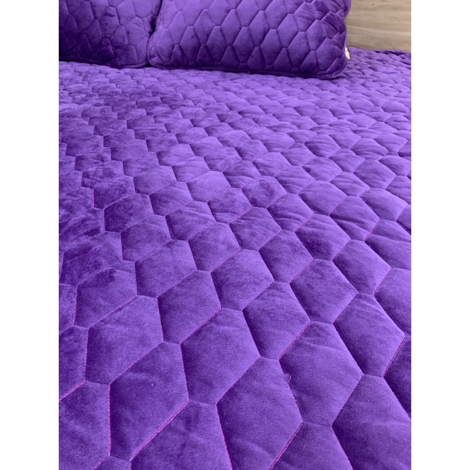 Ga gối nỉ nhung trần bông | BigBuy360 - bigbuy360.vn