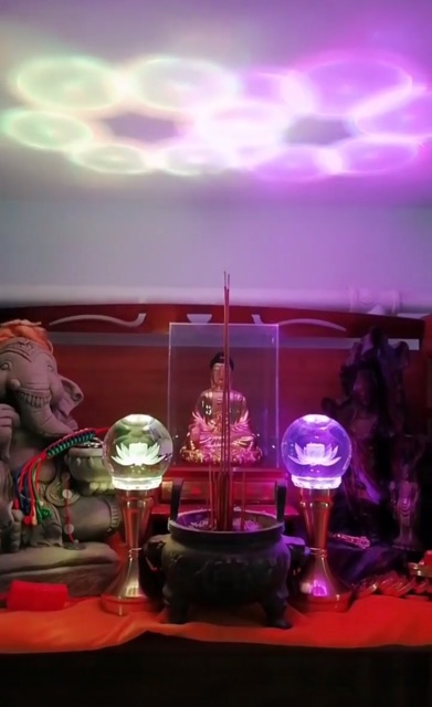 CÂY ĐÈN LED HOA SEN THÂN ĐẾ HỢP KIM | BigBuy360 - bigbuy360.vn