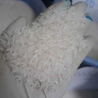 Tám thái (gạo mới ,thơm ,dẻo) 10 kg
