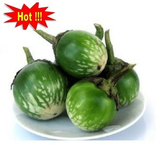 HẠT GIỐNG CÀ BÁT XANH - gói 1 gam