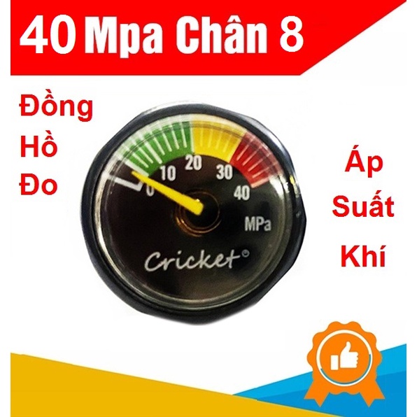 Đồng hồ áp suất 40MPa - chân 8