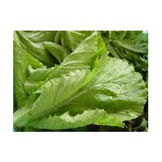 Hạt giống Cải bẹ vàng 20gr❤️FREESHIP XTRA❤️