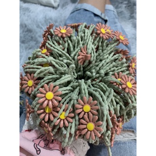 dây cột tóc hoa cúc