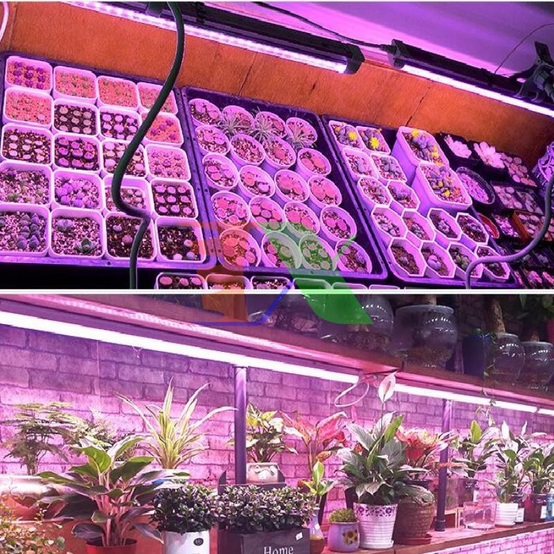 Bộ 4 Đèn trồng cây T8-0618 18W, Đèn nuôi cấy mô, Đèn led trồng rau trong nhà (0.6m)