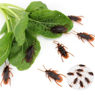 Bộ con gián giả đáng sợ