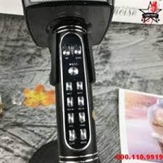 Mic karaoke YS91