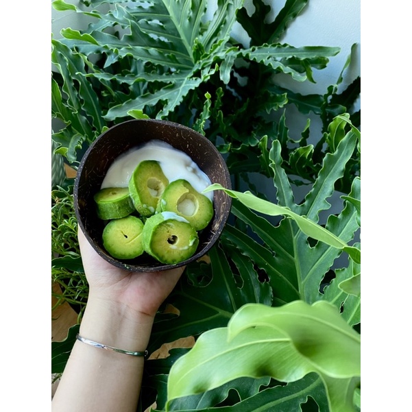 GÁO DỪA-MUỖNG GỖ DỪA DÙNG ĐỂ BỘT THIÊN NHIÊN,DECOR, ĐỰNG ĐỒ ĂN EATCLEAN, THÂN THIỆN VỚI MÔI TRƯỜNG