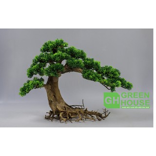 Lũa Bonsai, Lũa thủy sinh dùng trang trí hồ cá cảnh, hồ thủy sinh, văn phòng, nhà cửa (PLASTIC/02)