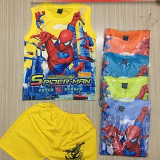 Combo 5bô  nhện