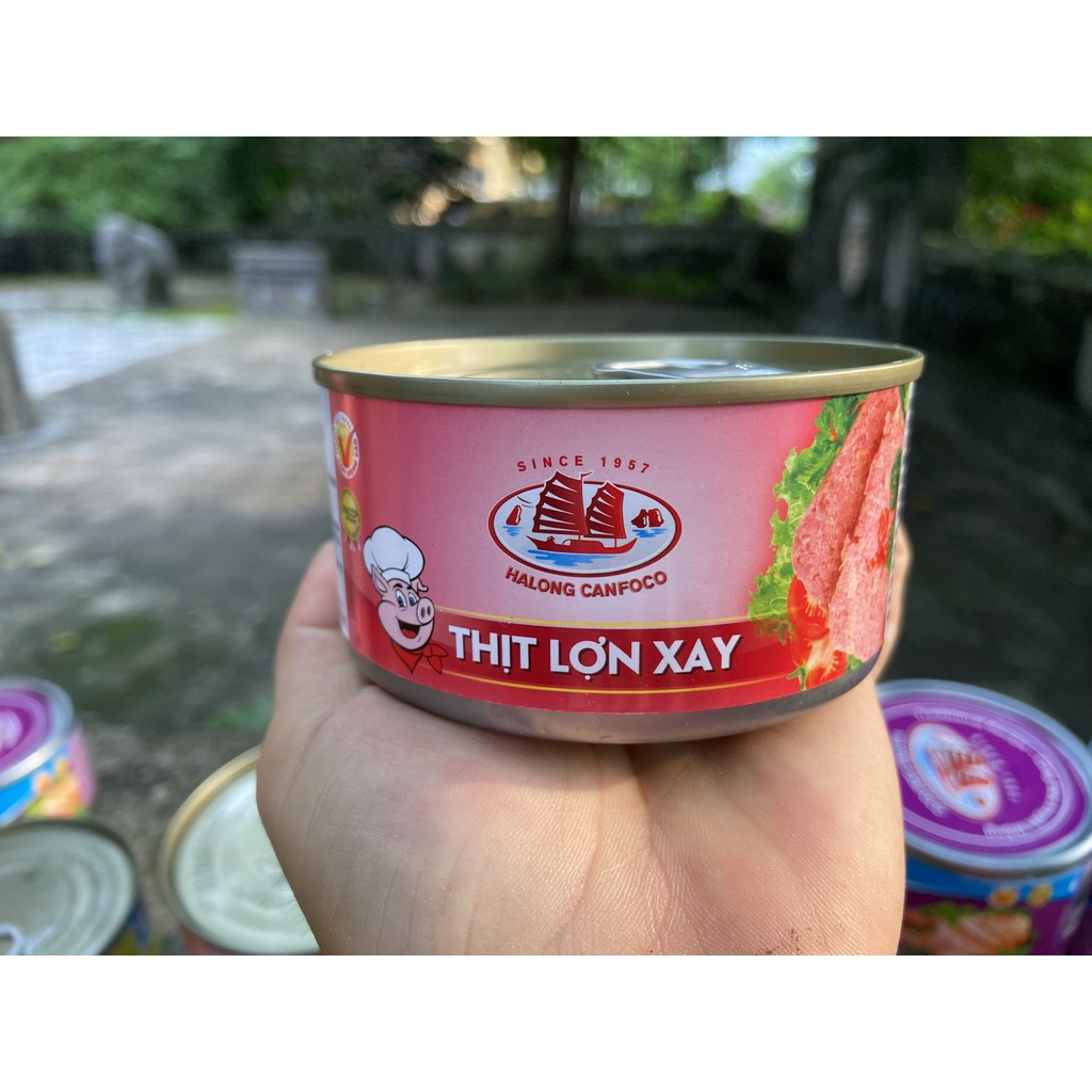 THỊT LỢN XAY HALONG CANFOCO 170G