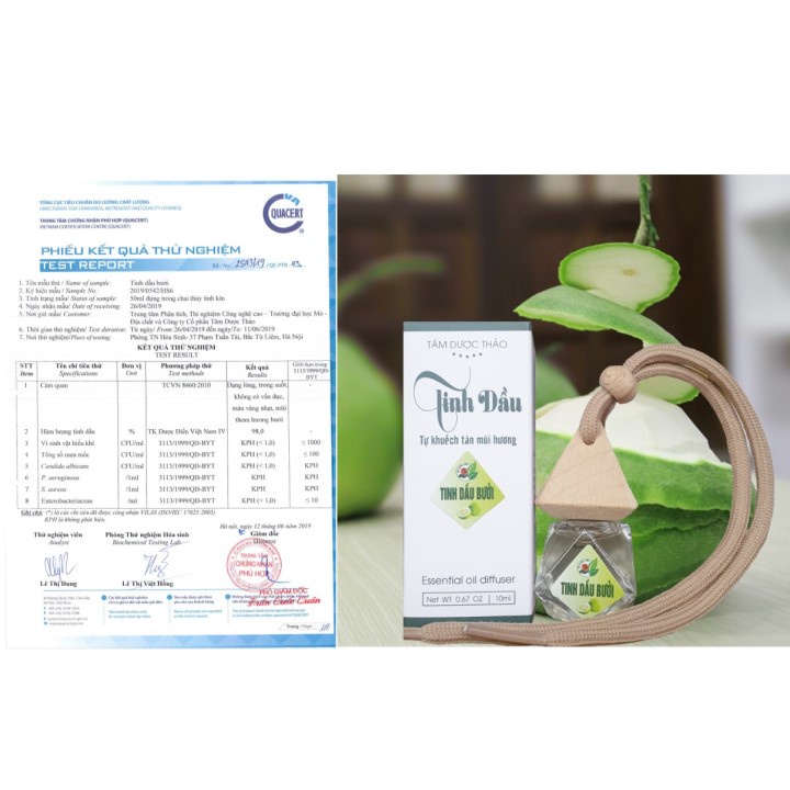 Tinh dầu tự khuếch tán 10ml Tâm Dược Thảo (Tùy chọn Sả chanh , Quế , Bưởi) - Thơm phòng khử mùi treo xe ô tô - HS Shop