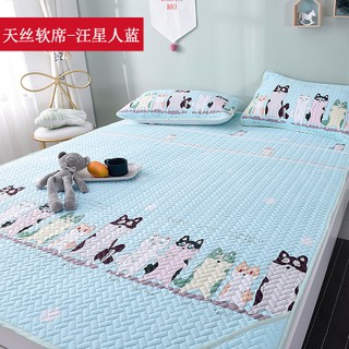 Chiếu tencel dùng cho mùa hè mát mẻ