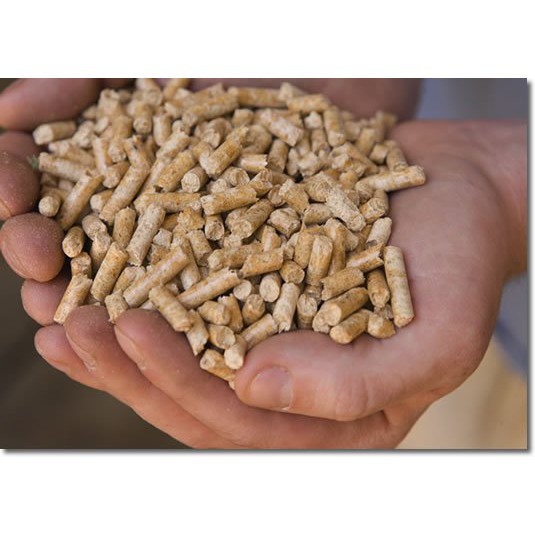 Gỗ nén vàng lót chuồng túi 1kg thú cưng ,có mùi thơm gỗ khử chuồng .