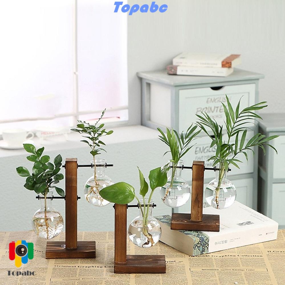 Chậu Cây Thủy Canh Để Bàn Phong Cách Vintage Dùng Trang Trí Nhà Cửa