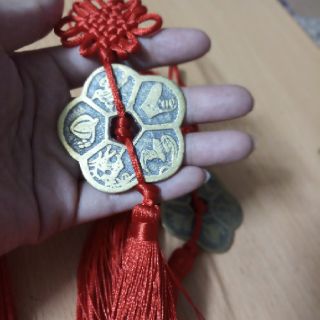 Dây tiền hoa mai