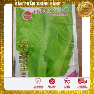 Hạt giống cải bẹ Hong Kong F1 ( 20gr)