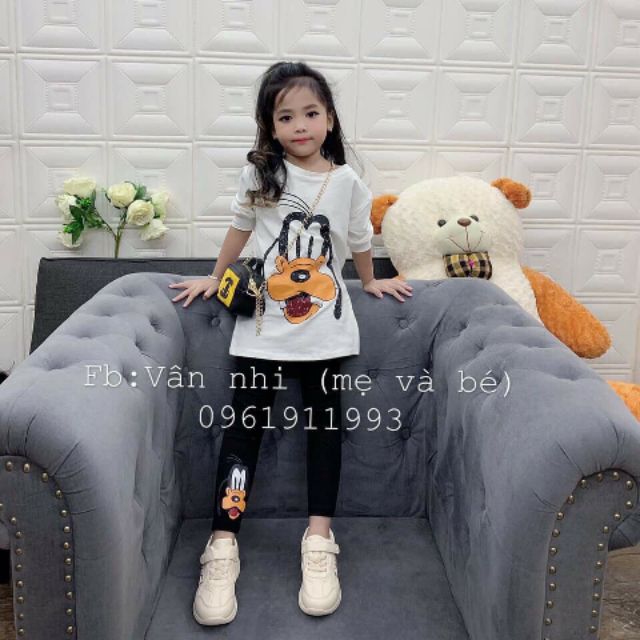 Combo 25b hoa quả