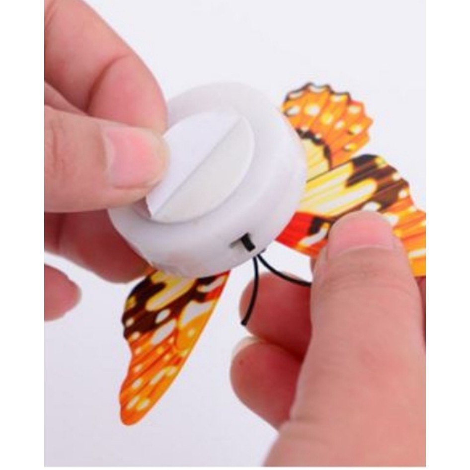 Đèn Led Con Bướm Dán Tường - Cực Đẹp