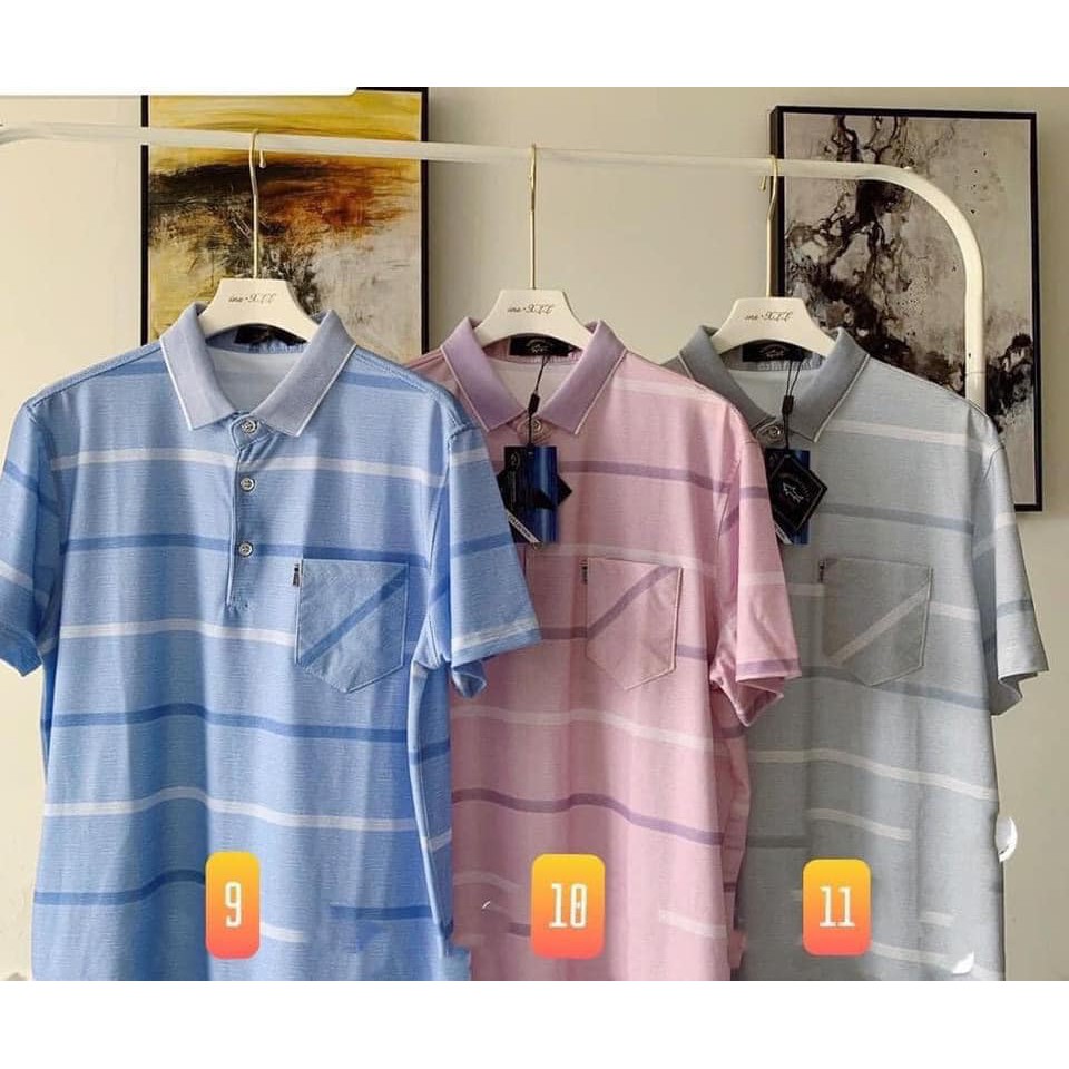 Áo polo tặng bố