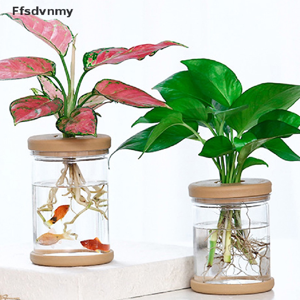 Chậu Cây Trong Suốt Tự Động Thấm Hút Nước