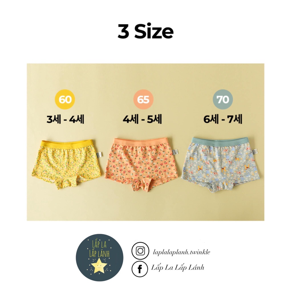 Quần chip đùi Dailylike Hàn Quốc cho bé