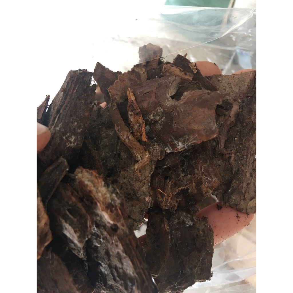 ( HOT HOT ) Vỏ thông trồng lan đã xử lý, ủ trichoderma túi 1kg