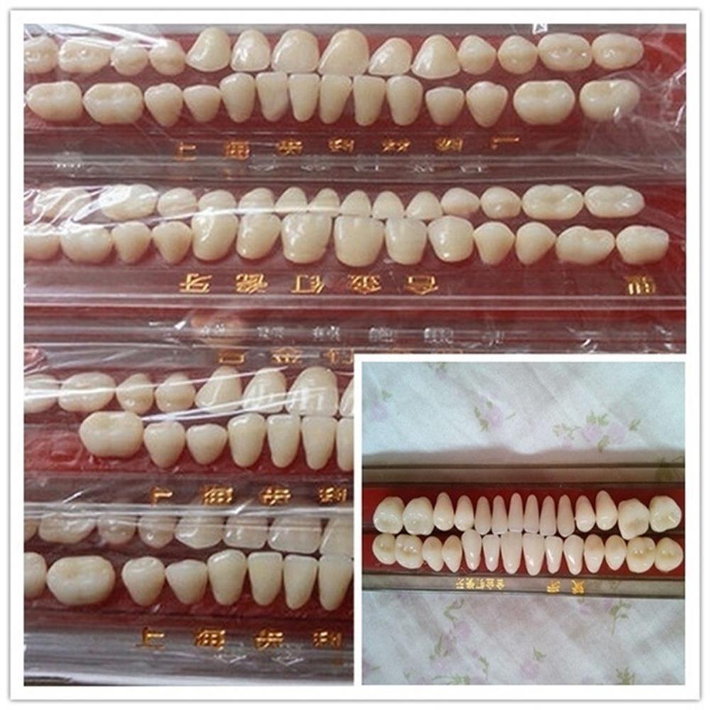 Bộ 28 Răng Giả Bằng Nhựa Resin Tổng Hợp Chăm Sóc Răng Miệng