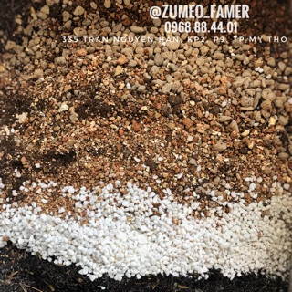 1kg Đất trộn trồng sen đá cao cấp - ZUMEO cây ưa nắng