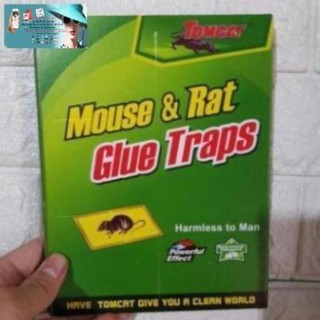 Combo 10 Miếng Dính Chuột Cao Cấp