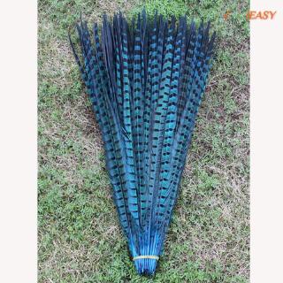 10 lông vũ nhiều màu 30-35cm