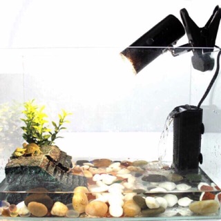 Kẹp đèn và đèn sưởi UVA UVB cho bò sát - lamp