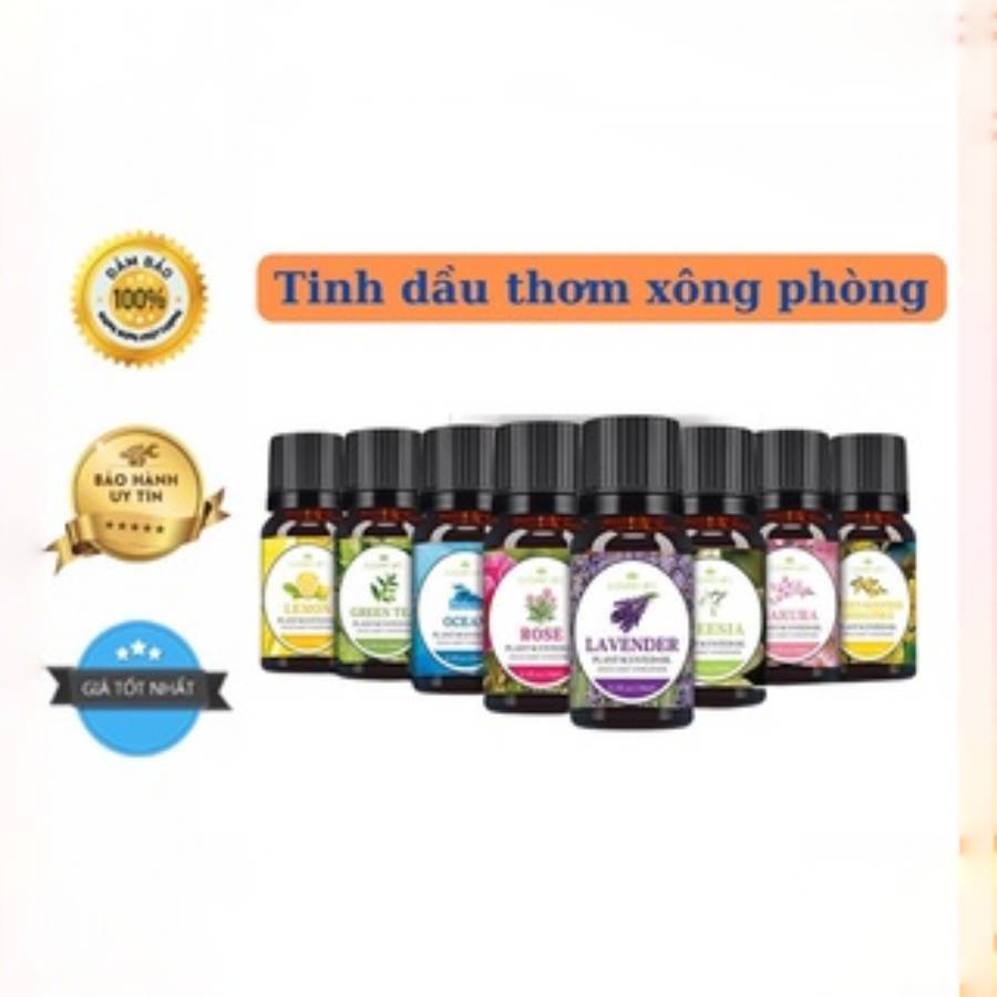 Tinh dầu xông thiên nhiên giúp thơm phòng xả stress tạo mùi thư giãn thoải mái chọn mùi hương