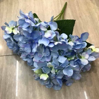 Hoa Cẩm Tú Cầu xanh tím