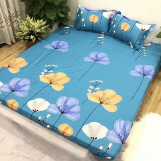 Bộ ga gối polly cottong