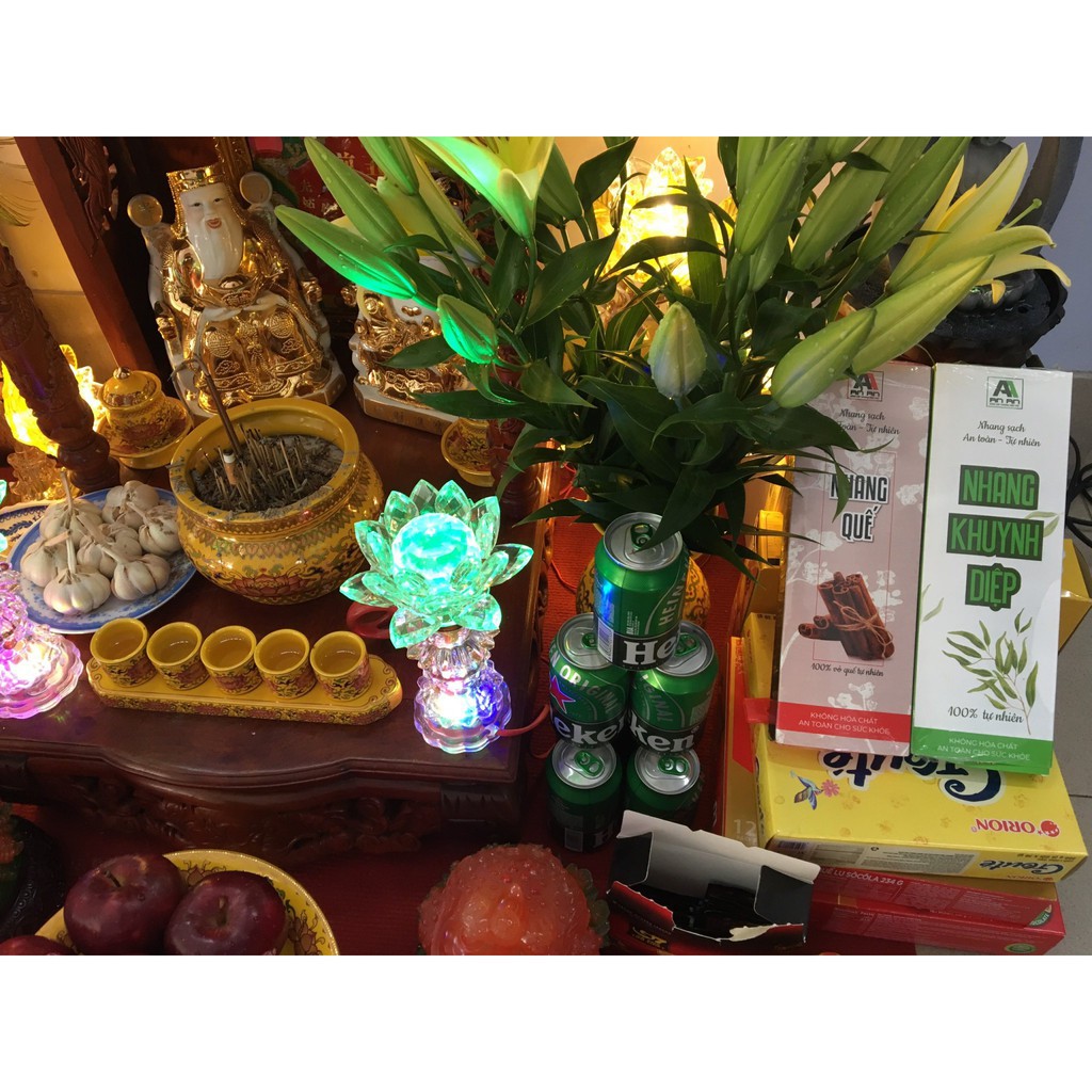 Nhang sạch Hộp 200 cây Nhang thảo mộc tự nhiên 100% không hóa chất, an toàn cho sức khỏe, hương Khuynh Diệp, hương Quế