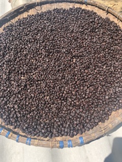 500g hạt móc mật khô