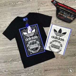 Combo 3 bộ của lê