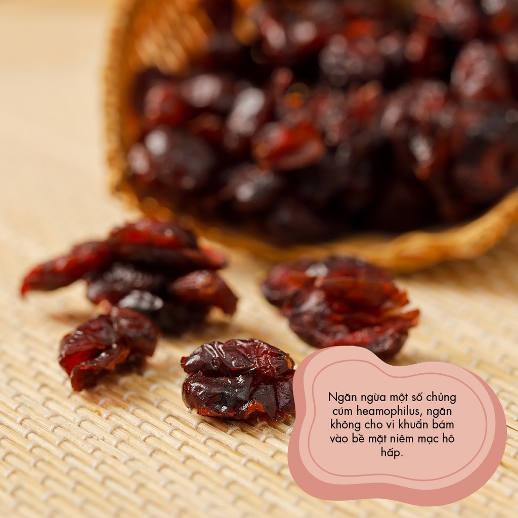 NAM VIỆT QUẤT SẤY ăn vặt healthy cho người ăn kiêng ăn chay &amp; mẹ bầu bổ sung nước &amp; chất xơ tốt cho tiêu hóa