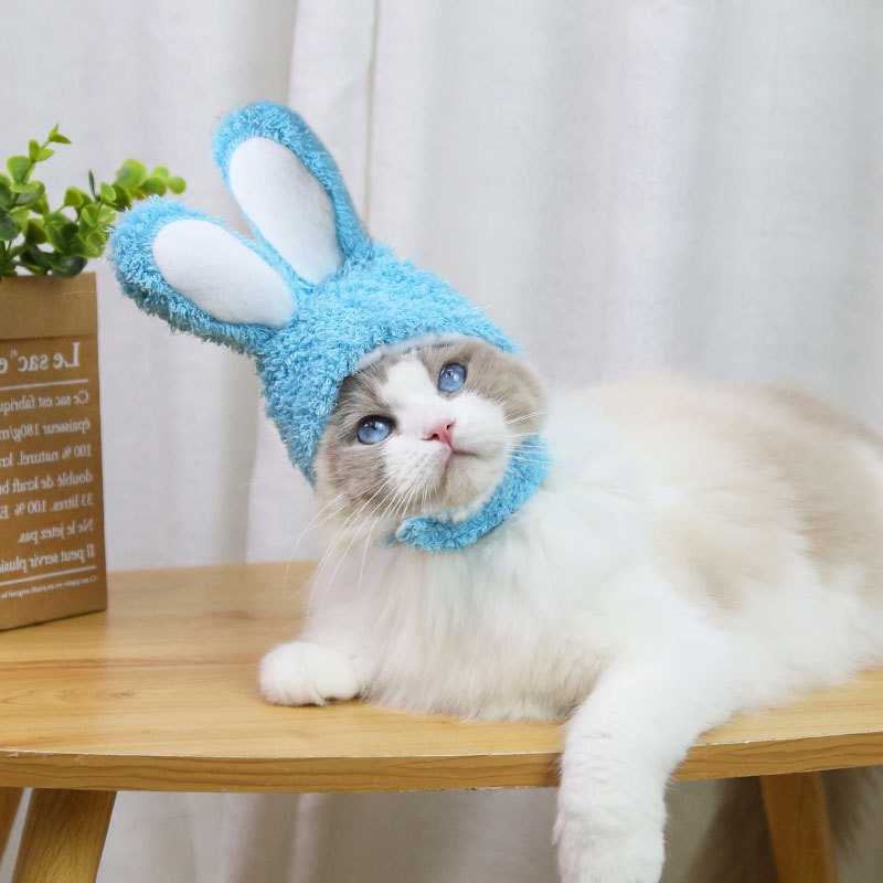 Mũ cho mèo dễ thương mèo noel ,mèo con tai thỏ rẻ cute đón giáng sinh CANDYPETS MM01