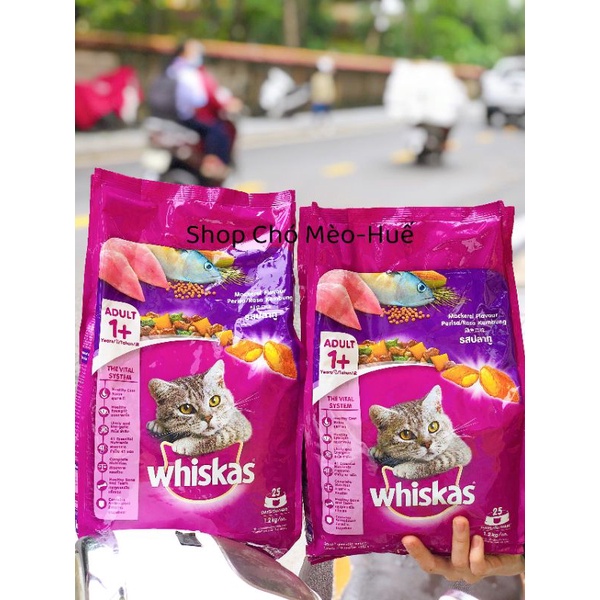 HẠT WHISKAS BAO 1KG2 MÈO LỚN VÀ MÈO CON
