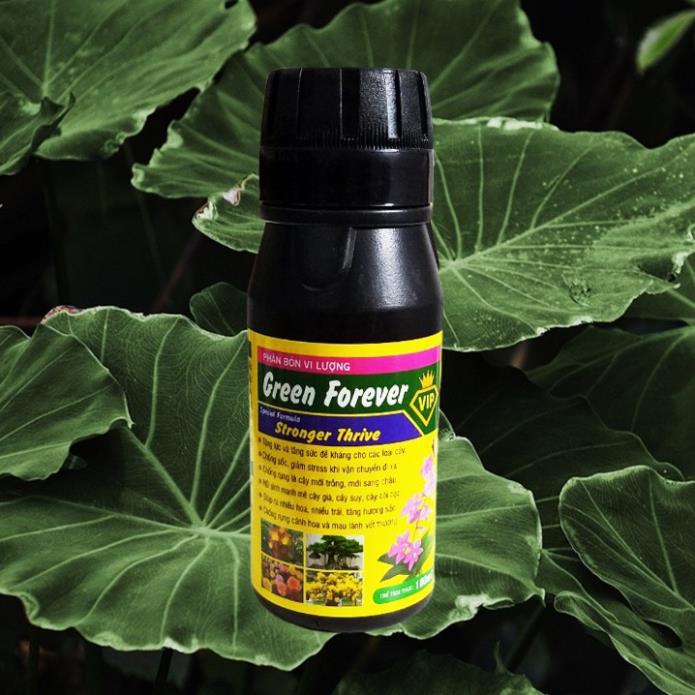Phân bón vi lượng Green Forever Stronger Thrive chống sốc, hồi sinh cây yếu, chống rủ lá, kích thích sinh trưởng100ml