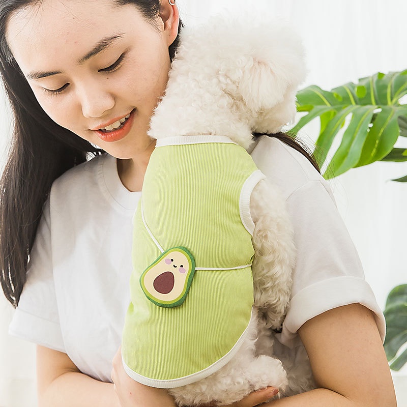 Áo cho chó poodle mùa hè Hipipet vải lụa băng mát lạnh màu vàng in hình teddy so nice