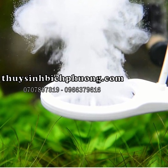 CHIHIROS DOCTOR VERSION V4 - SẢN PHẨM PHÒNG NGỪA, ỨC CHẾ RÊU HẠI SIÊU ĐẲNG