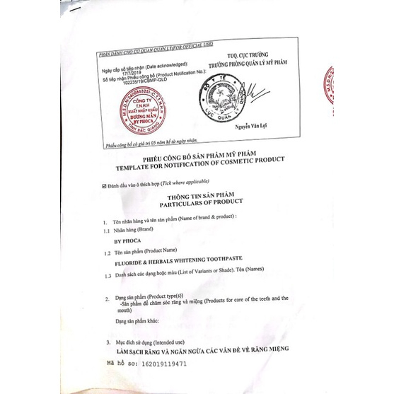 Phoca + tăm siêu mềm okamura