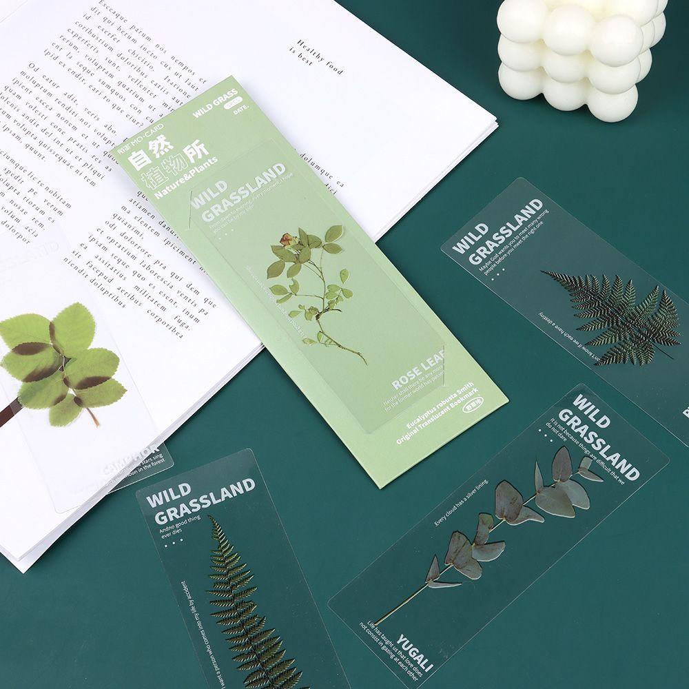 Set 5 Thẻ Đánh Dấu Sách Hình Cây Tự Nhiên Nhiều Màu Sắc