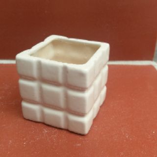 Chậu trồng sen đá mini