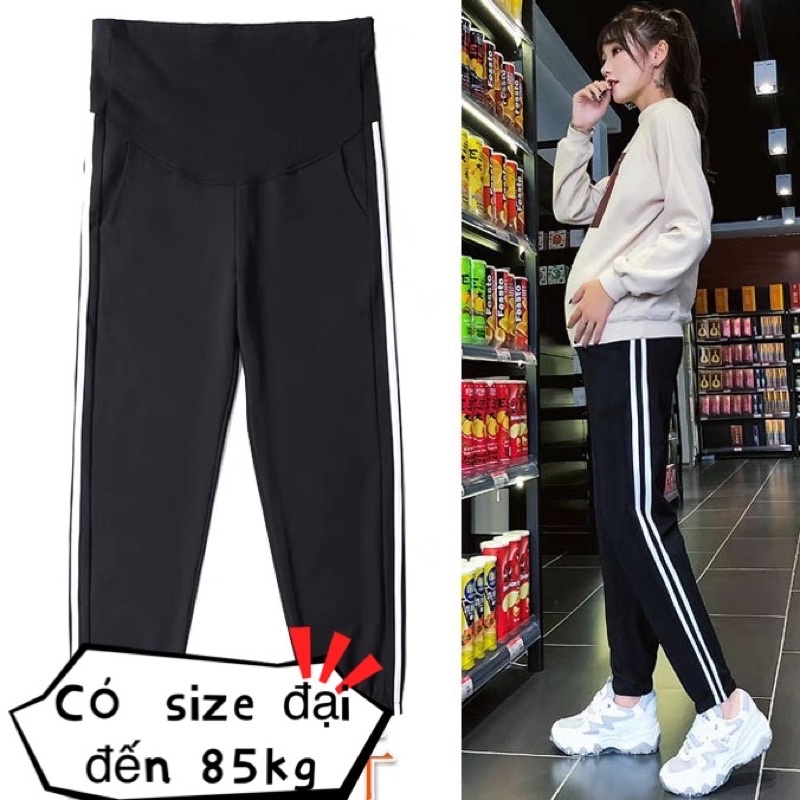 Quần bầu thể thao bo gấu hàng may kĩ 40-80kg