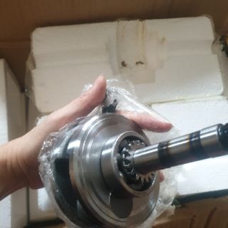 Dên 110 má lớn
